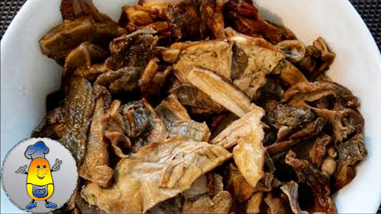 Суп с белыми грибами. Сушеные грибы замоченные. Как правильно варить сушеные. Как правильно варить сушеные. Вареные грибы.