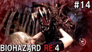 犬型にも寄生体！！バイオハザードRE:４  初見実況プレイ＃14