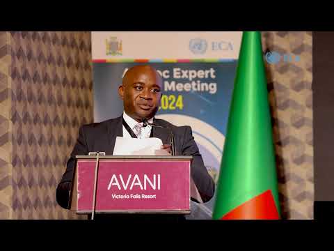 Mr Chipala Mwape – Director, Ministry of Energy, Zambia - YouTube