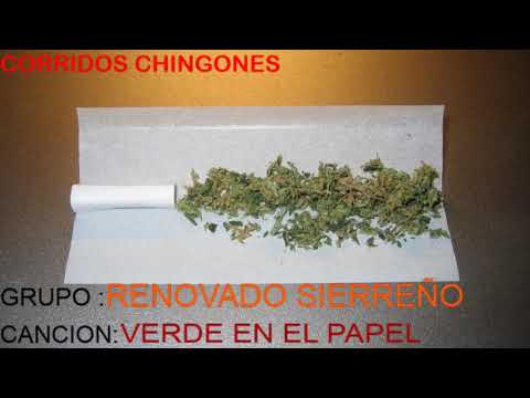 RENOVADO SIERREÑO/VERDE EN EL PAPEL/ *AUDIO*