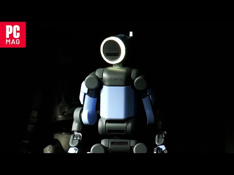 Meet Hyundai's Flexible Robot