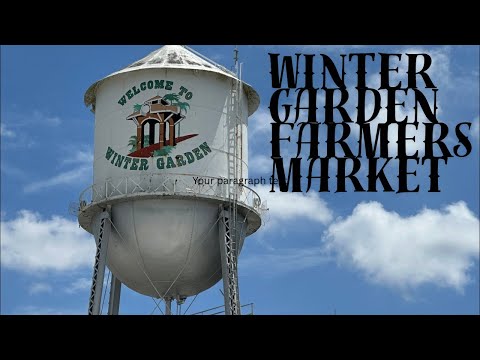 Live webcam of DIS Our Dream