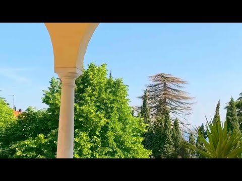 MOTB x ZENGO ZOO x JOSETHIRTY5 - ENERGY