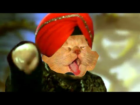 Tunak Tunak Tun - Cat Version