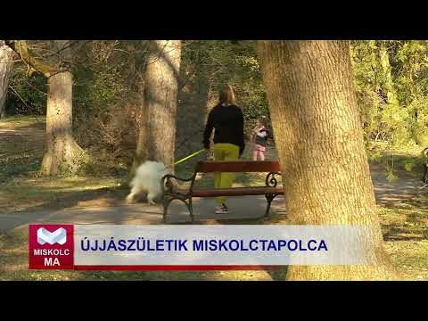 Videó előnézet