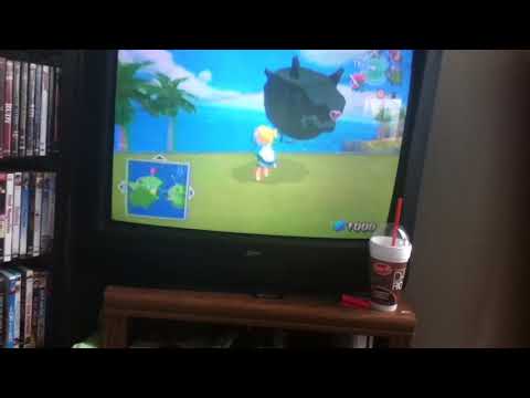 Windwaker cheat guide {HD}