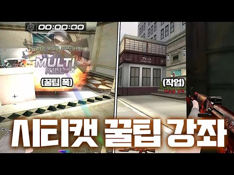 시티캣 강의