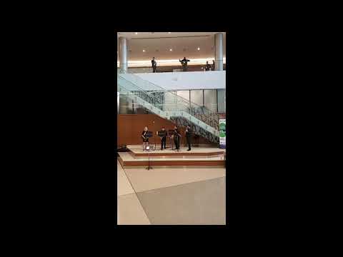 Bohemian Rhapsody - Performed at TMEA 2020