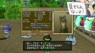 ドラゴンクエスト10　適当に