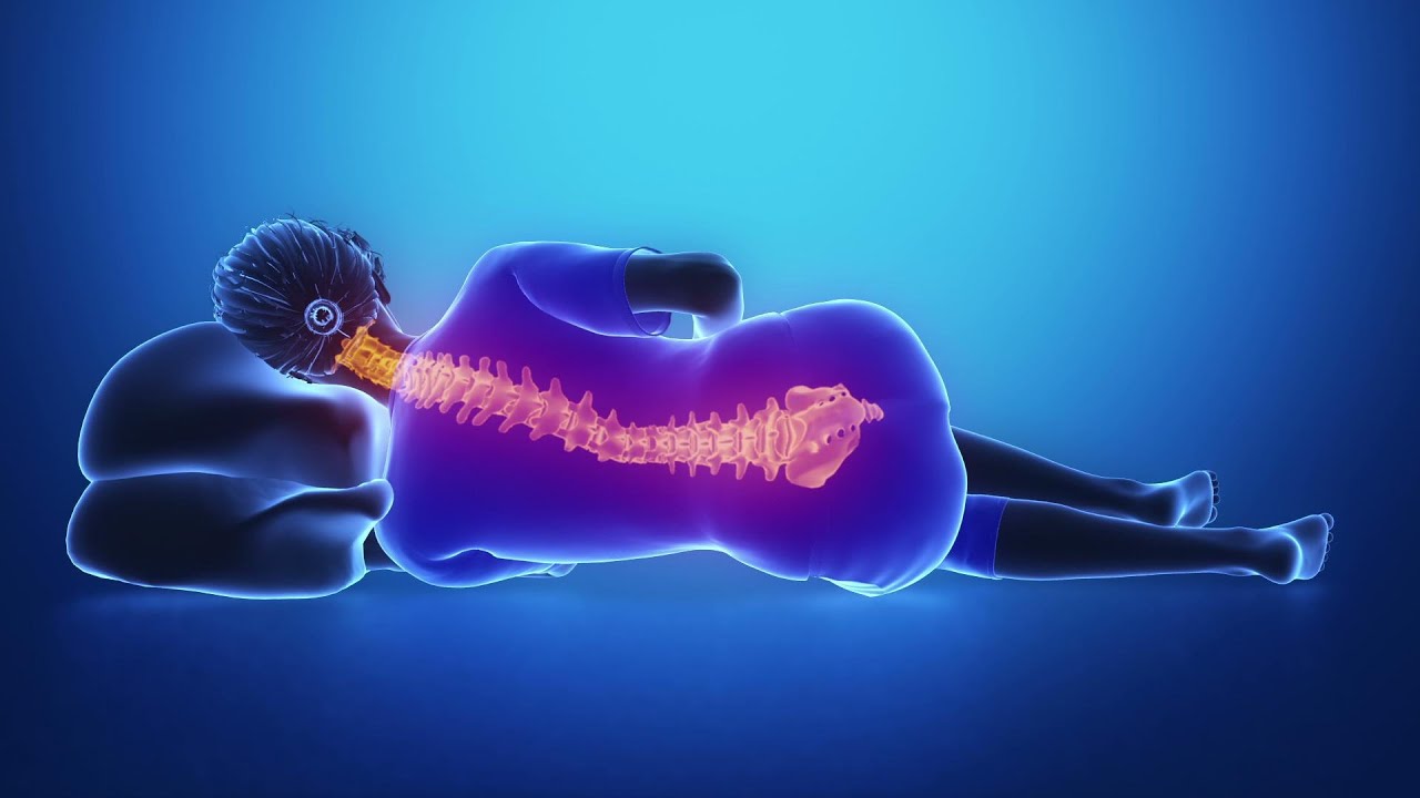 Sóng Alpha – Âm nhạc chữa lành toàn bộ cơ thể