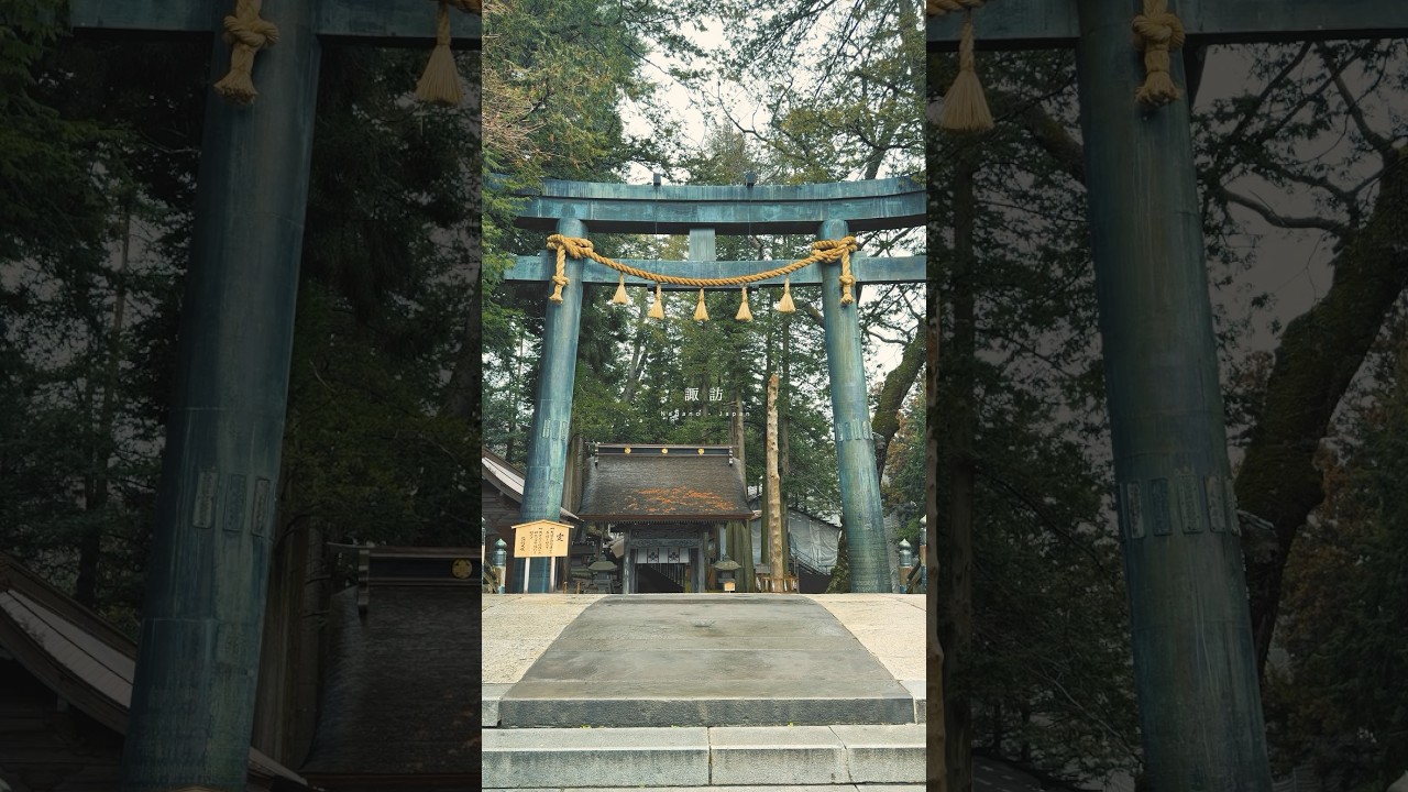 諏訪大社 #japan #長野 #諏訪 #japantravel #yourname #yournameedit #shorts