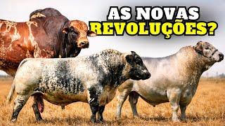 3 “NOVAS RAÇAS ” que PROMETEM MUITO … mas será que o Brasil precisa delas?