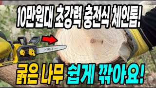 굵은 나무 쉽게 깎는 10만원대 가성비좋은 초강력 충전식 효자전기톱! 나무 전지 전정 간편하게!