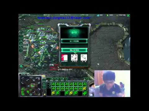 SlayersDragon destroying protoss army