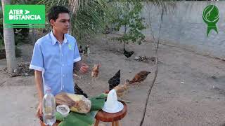 Videoaula 01/03, REMÉDIOS NATURAIS NA CRIAÇÃO DE GALINHAS CAIPIRAS