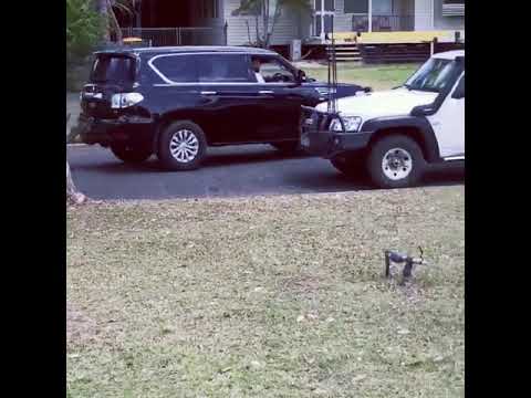 PPD Performance - NISSAN PATROL Y62 (2013+) V8 3" STAINLESS STEEL CAT BACK EXHAUST SYSTEM