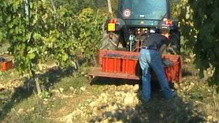 preview picture of video 'Grape Harvest Time in Tuscany'