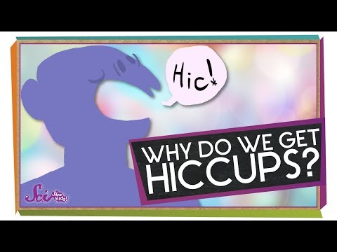Why Do We Get Hiccups? | Body Science for Kids