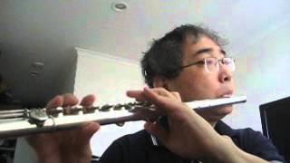 Turkey National Anthem - Istiklâl Marsi - Flute by Won Shik Paik