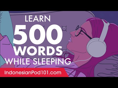 Indonesian Conversation: Learn while you Sleep with 500 words