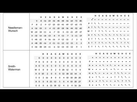 Pairwise Sequence Alignment (part 3)