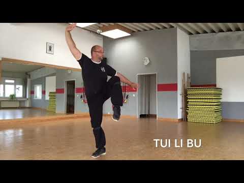 shaolin basic STANCES and five stance form wu bu quan