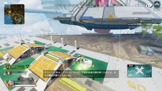 野良の闇