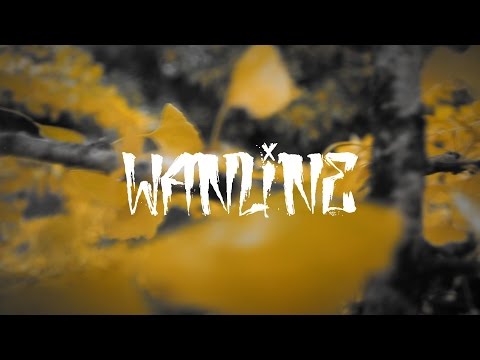 WANLINE and Yaco Levy