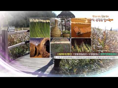 제17회순천만갈대축제