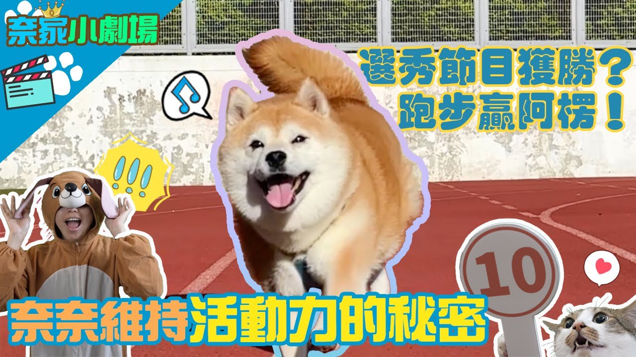 高齡奈奈維持活動力的秘密是?! ft.魔飛樂 ｜奈家小劇場｜【柴犬Nana(奈奈)和阿楞】