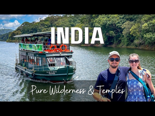 Travel vlog - Hidden South India: Wild Elephants, Sacred Temples & Spice Trails