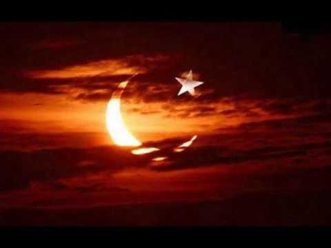 Rapkopat - Bozkurtcuyuz Hepimiz