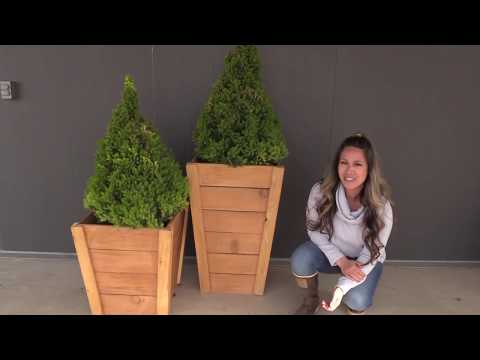 , title : 'Build your own Tall Wood Planters'