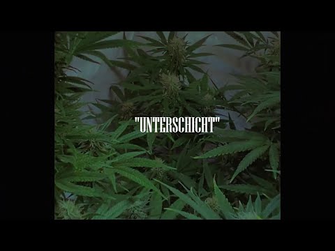 OG PEZO X LOCKENUMMA19 TYPE BEAT 2024