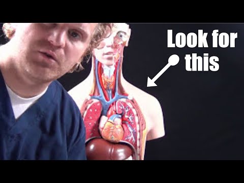 Pneumothorax für die Krankenpflege (Lungenkollaps): Animation, Behandlung, Dekompression, Pathoph...