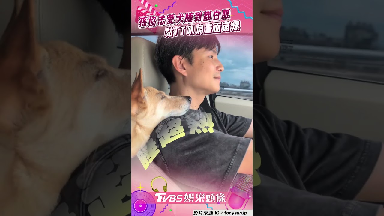 影音/孫協志開車愛犬「黏TT睡肩上」 幸福感爆棚:眼神太溫暖