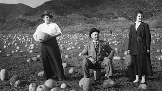 From Farm to Freeway