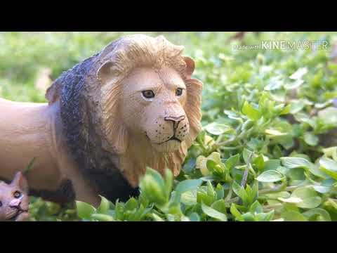 Rouges EP-1 (Schleich lion movie)