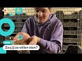 Meelwormen in je eten? Het mag vanaf nu