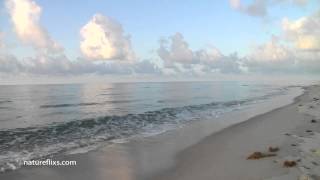 Jimmy Dreams - Jimmy Buffett