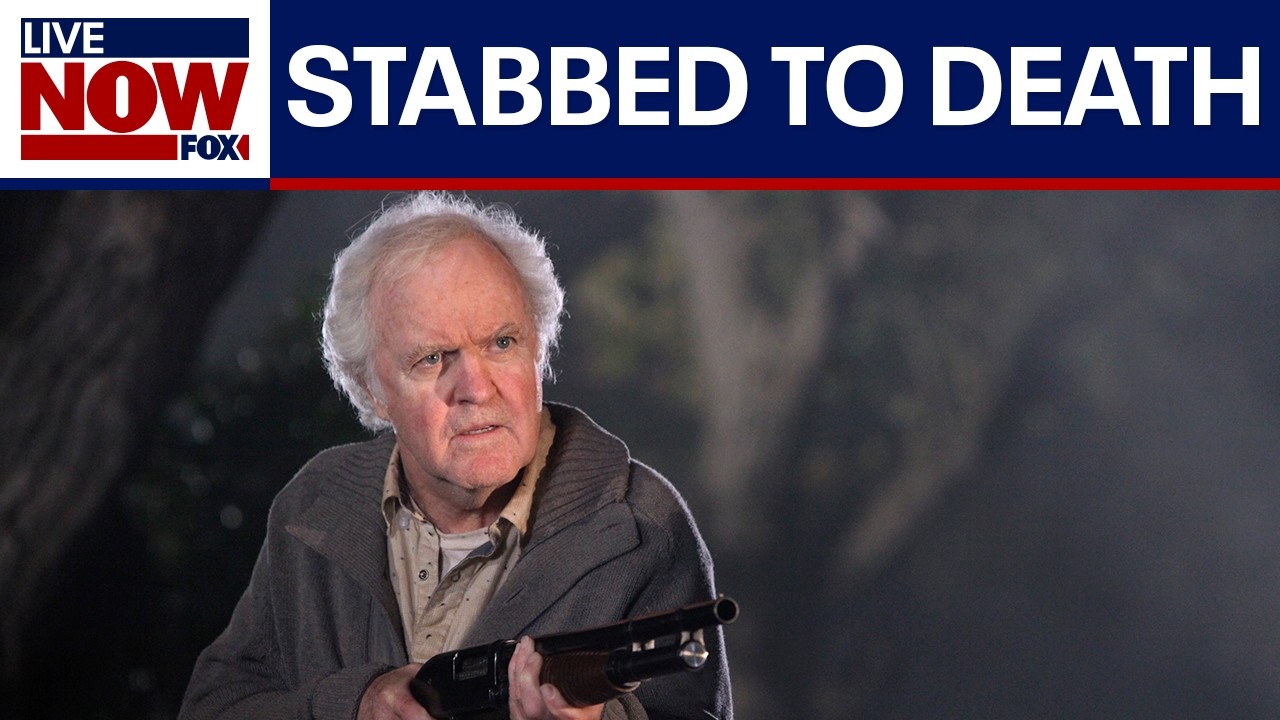 Actor James Handy stabbed to death by girlfriend's son: police