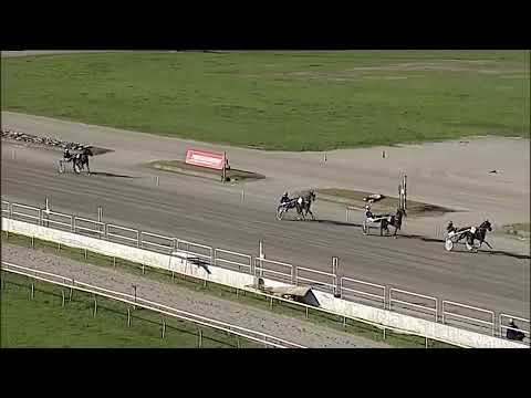 Napoli Trotto 28/10/2025 - 2ª prova di qualifica