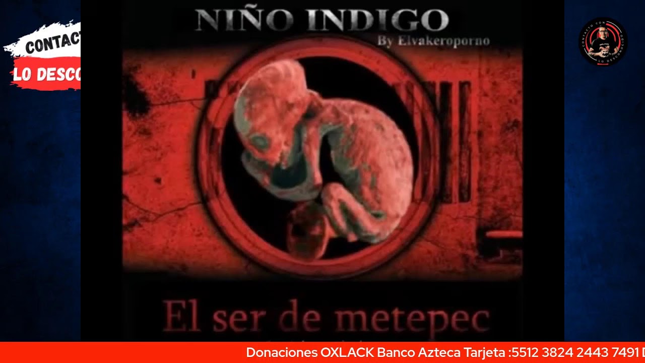 CONTACTANDO CON YOUTUBERS DEL TERROR