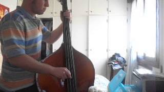 oh boy stray cats double bass cover