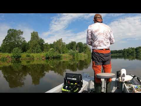 #125 The Odra River near Wrocław. A trip to catch zander. The Odra River is alive.