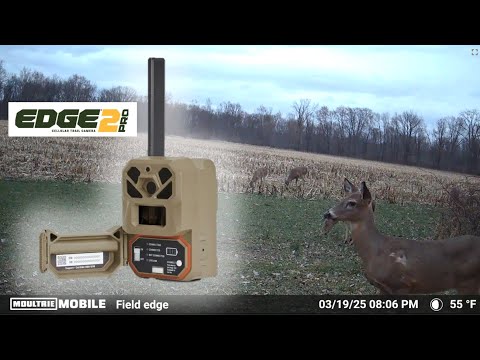 Moultrie Edge 2 Pro - HONEST Review