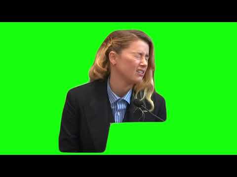 “My Dog Stepped on a Bee” – Green Screen