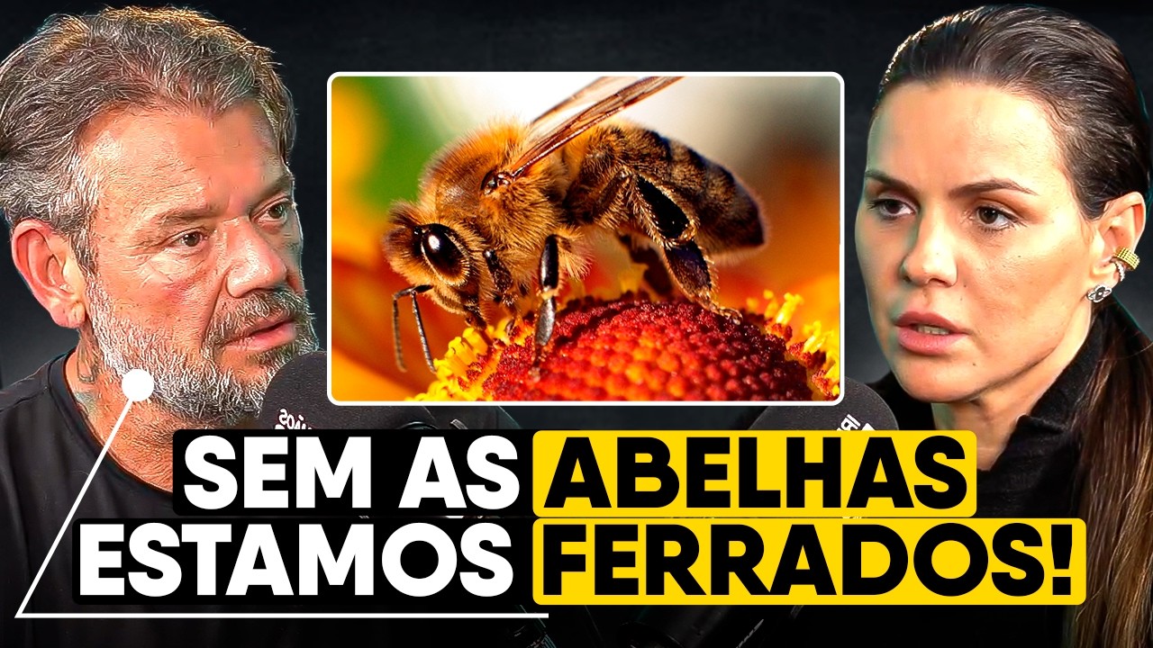 A IMPORTÂNCIA das ABELHAS para o PLANETA - RICHARD RASMUSSEN