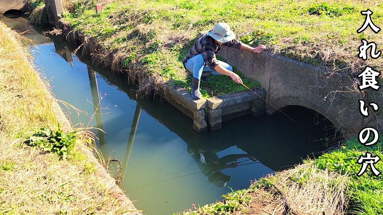 水路にあった巨大な横穴に釣りエサを落とし入れてみたら…アノ魚がいた！