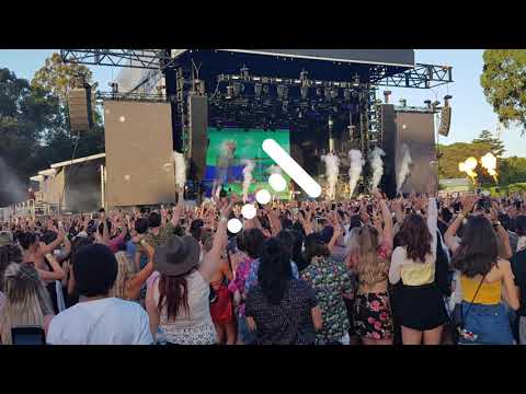 QUIN X 6LACK - MUSHROOM CHOCOLATE